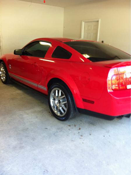 What did you do with your Mustang today?*-image-3637446926.jpg