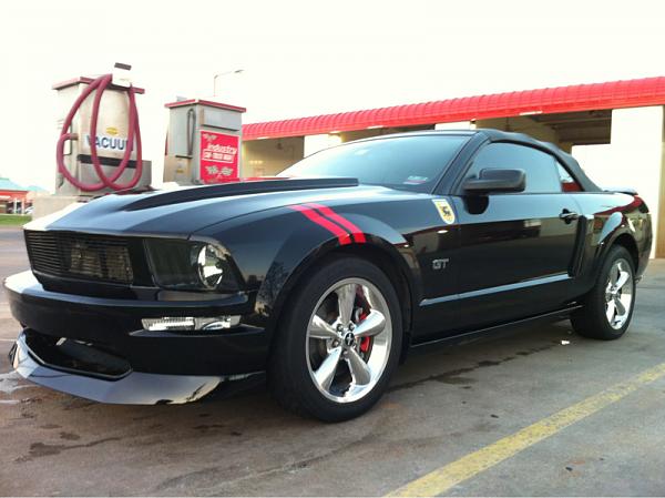 What did you do with your Mustang today?*-image-1884405519.jpg