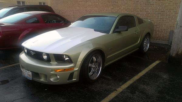 What did you do with your Mustang today?*-hood.jpg