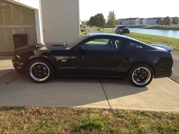 What did you do with your Mustang today?*-image-3067790591.jpg