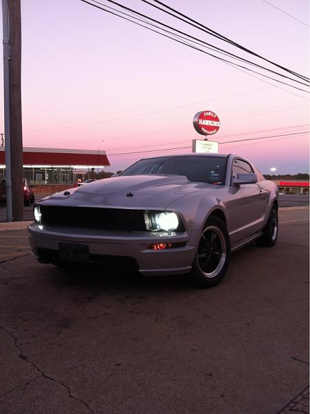 What did you do with your Mustang today?*-image-89852680.jpg