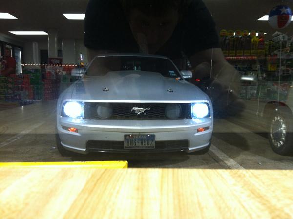 What did you do with your Mustang today?*-image-1069711249.jpg