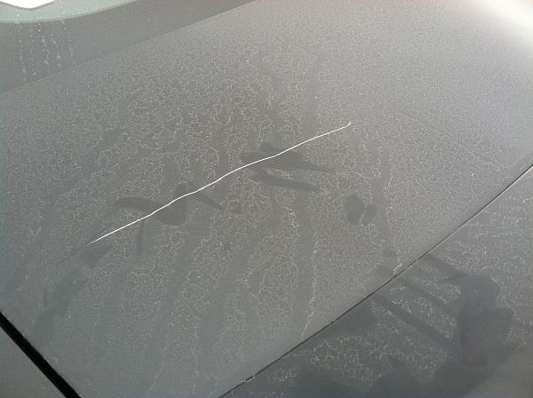 My 2013 was Keyed-photo-dec-06-12-23-00-pm.jpg