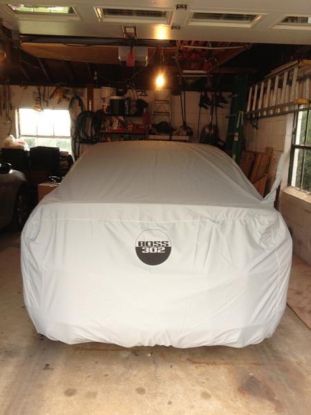 What did you do with your Mustang today?*-image-1904270666.jpg