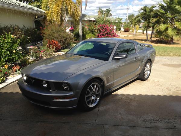 What did you do with your Mustang today?*-image-768429361.jpg