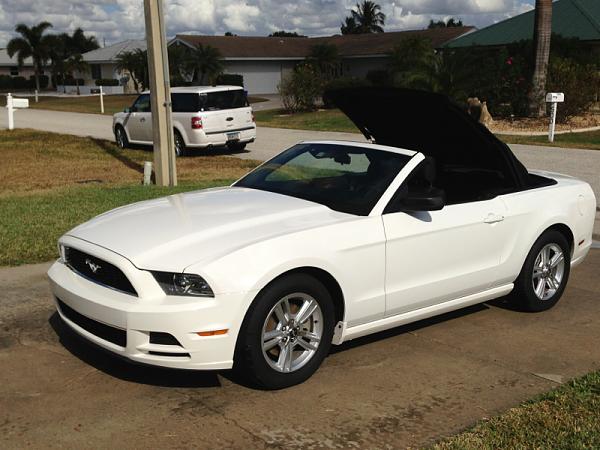 What did you do with your Mustang today?*-image-2413794338.jpg