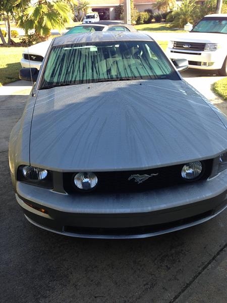 What did you do with your Mustang today?*-image-2070632068.jpg