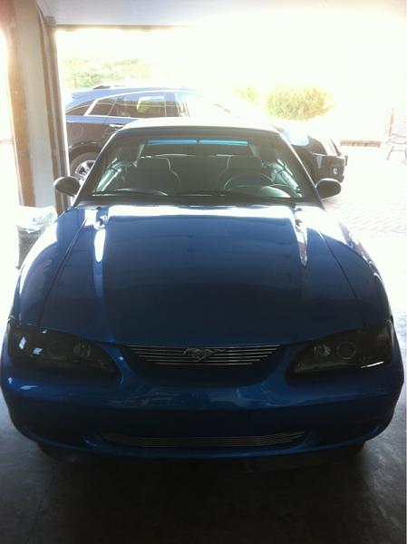 What did you do with your Mustang today?*-image-3914142733.jpg