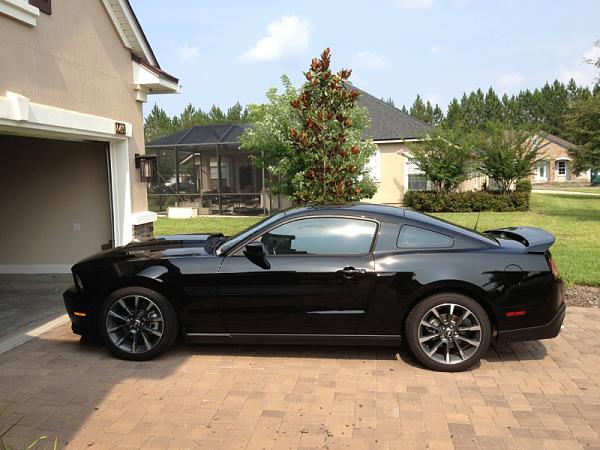 What did you do with your Mustang today?*-image-3408523383.jpg