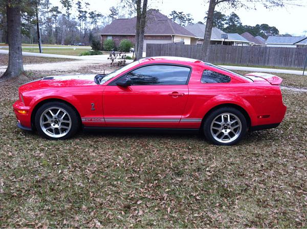 What did you do with your Mustang today?*-image-3274762267.jpg