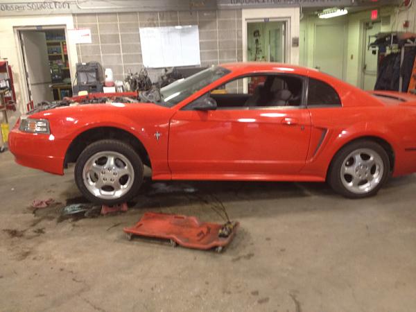 Big decision!!!-image-2290478470.jpg