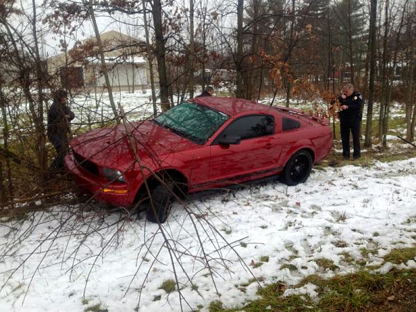 Injured Pony-image-1918881642.jpg