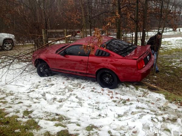 Injured Pony-image-3131504524.jpg