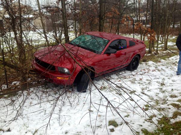 Injured Pony-image-960148416.jpg