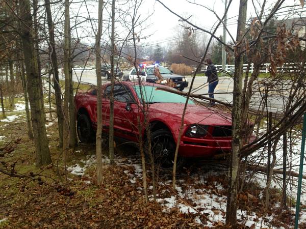 Injured Pony-image-3846109586.jpg