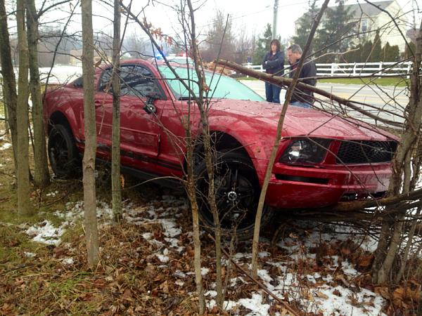 Injured Pony-image-3627324135.jpg