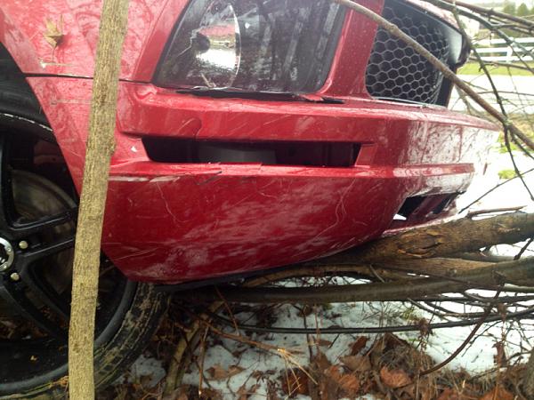 Injured Pony-image-3886093487.jpg