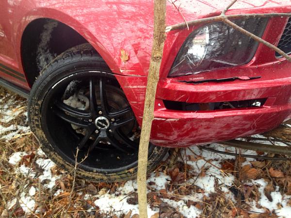 Injured Pony-image-1111156950.jpg