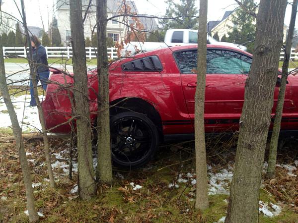 Injured Pony-image-1151909032.jpg