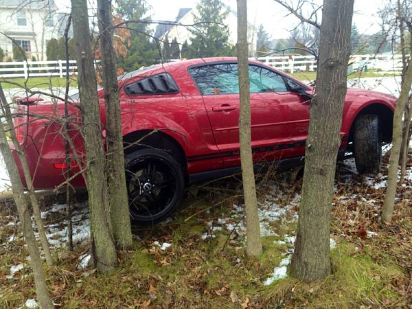 Injured Pony-image-2327757549.jpg