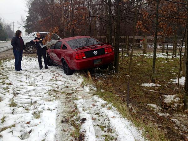 Injured Pony-image-2527827150.jpg