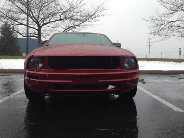 Injured Pony-image-1832725685.jpg