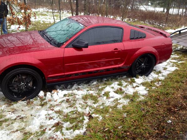 Injured Pony-image-2925931373.jpg