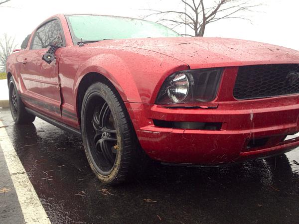 Injured Pony-image-1321910761.jpg