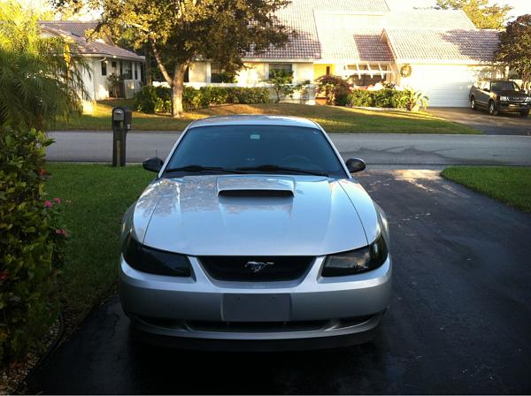 What did you do with your Mustang today?*-image-2005686026.jpg