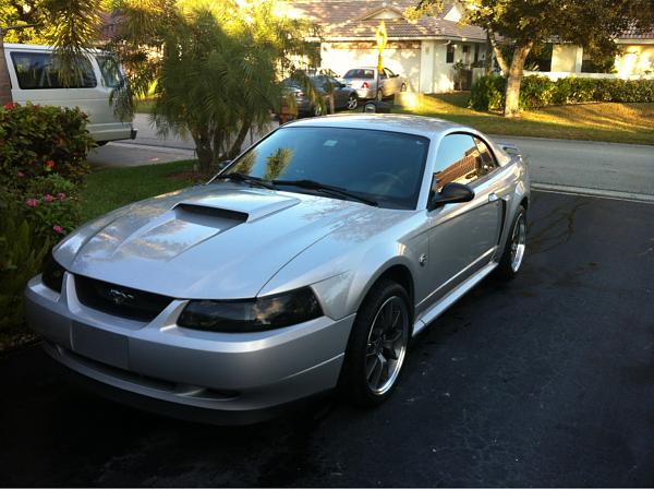 What did you do with your Mustang today?*-image-376489699.jpg