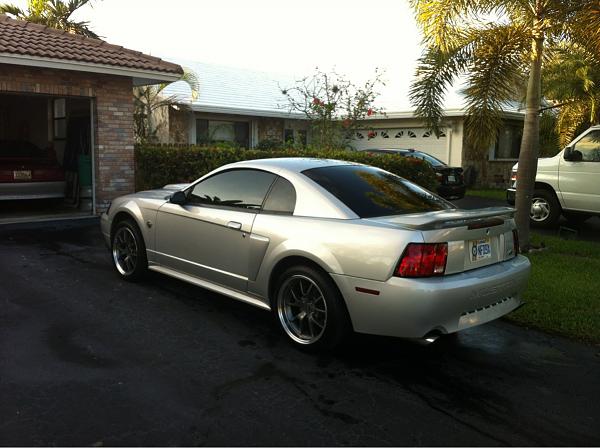 What did you do with your Mustang today?*-image-3323083858.jpg