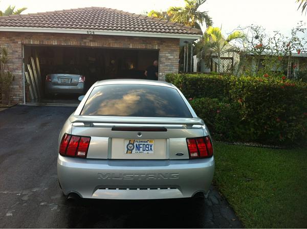 What did you do with your Mustang today?*-image-2804769498.jpg