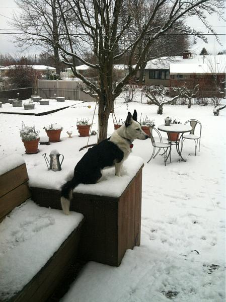 What did you do with your Mustang today?*-image-815756337.jpg