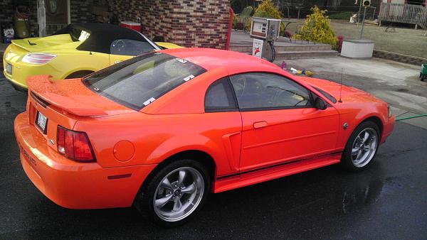 What did you do with your Mustang today?*-imag1046.jpg