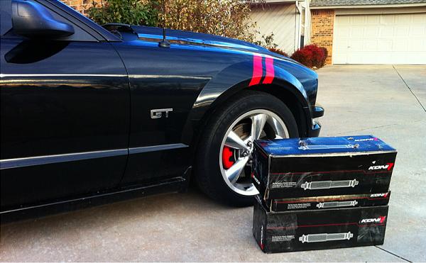 What did you do with your Mustang today?*-image-3680398002.jpg