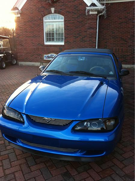 What did you do with your Mustang today?*-image-4114835990.jpg