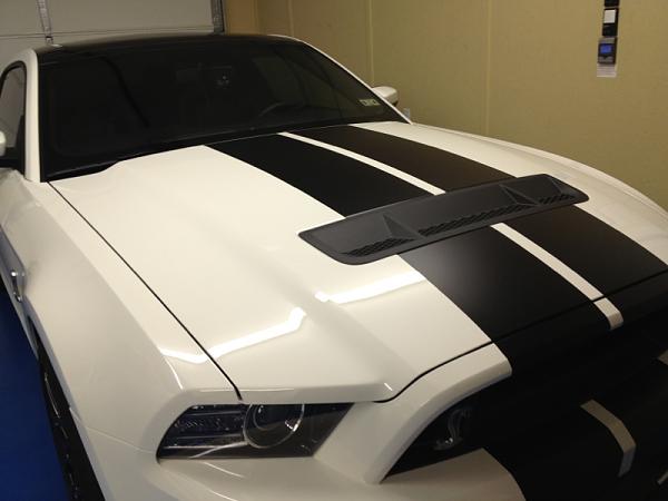 What did you do with your Mustang today?*-image-3139229407.jpg