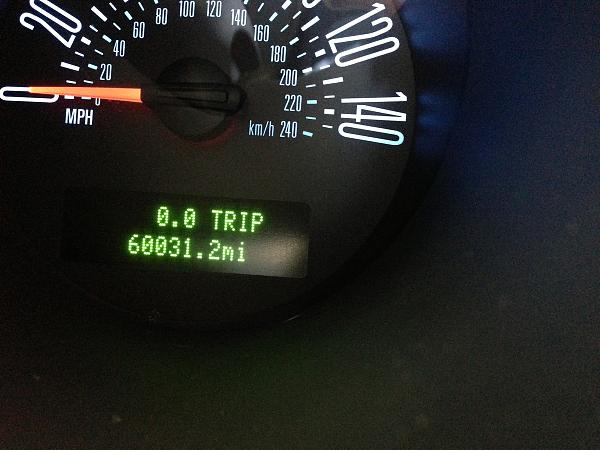 What did you do with your Mustang today?*-image-2421186307.jpg