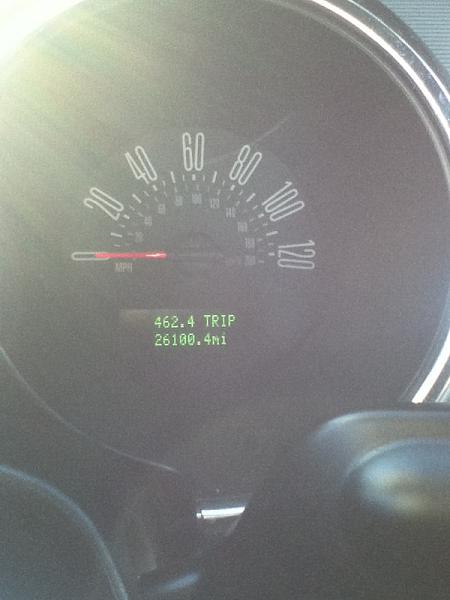 What did you do with your Mustang today?*-image-653887720.jpg