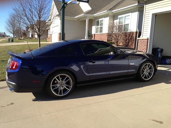 What did you do with your Mustang today?*-image-2757167031.jpg