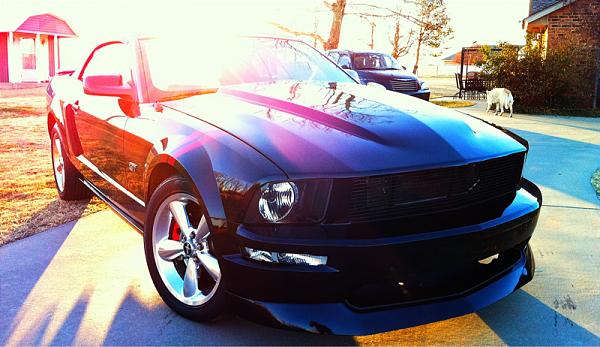 What did you do with your Mustang today?*-image-2882141332.jpg