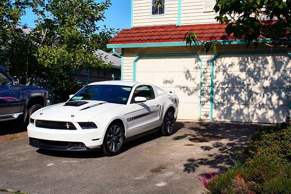 Glass Roof on Mustang-16x20.jpg