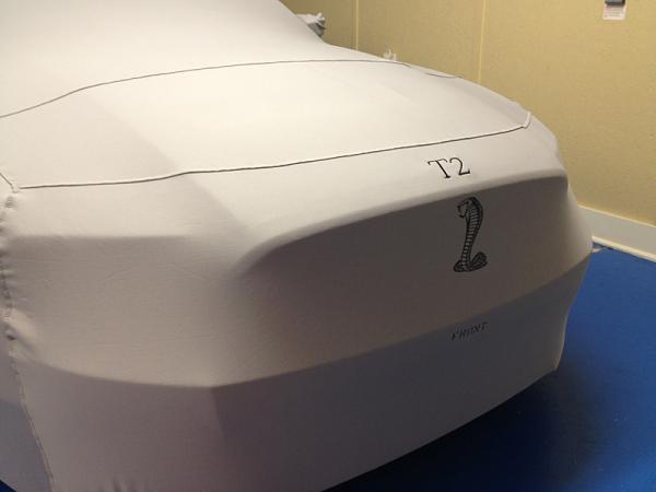 What did you do with your Mustang today?*-image-2156320259.jpg