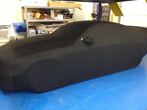 What did you do with your Mustang today?*-image-1037978043.jpg