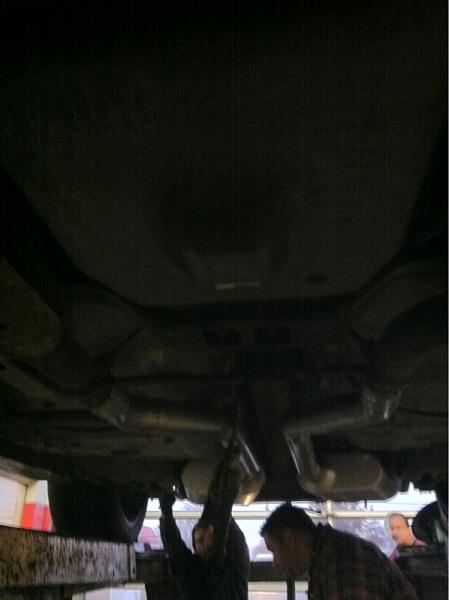 What did you do with your Mustang today?*-image-2132628391.jpg