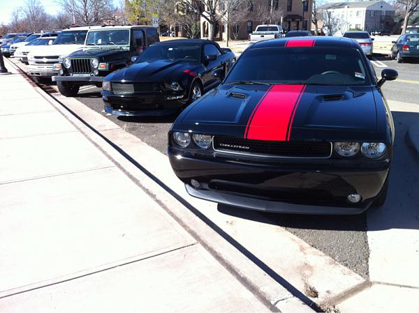 What did you do with your Mustang today?*-image-850339829.jpg