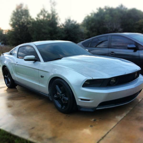 What did you do with your Mustang today?*-image-3371415044.jpg