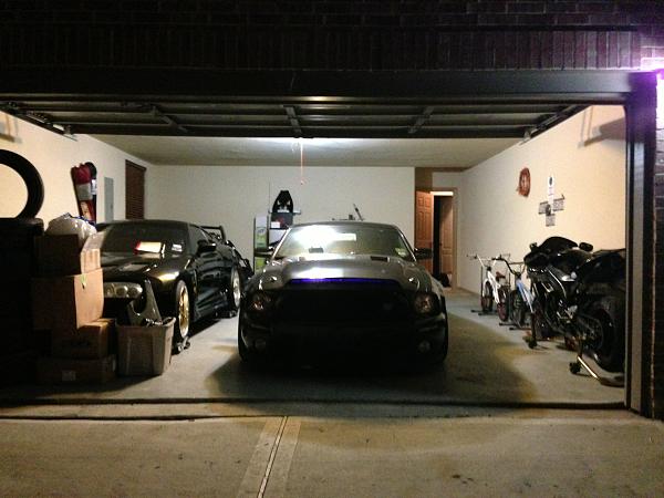 What did you do with your Mustang today?*-image-174615238.jpg