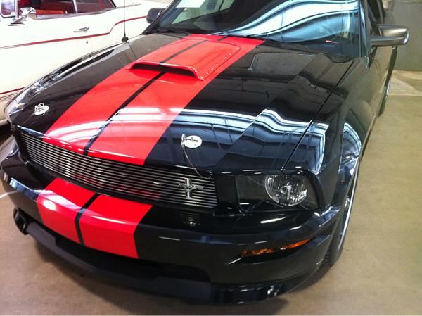 What did you do with your Mustang today?*-image-265303509.jpg