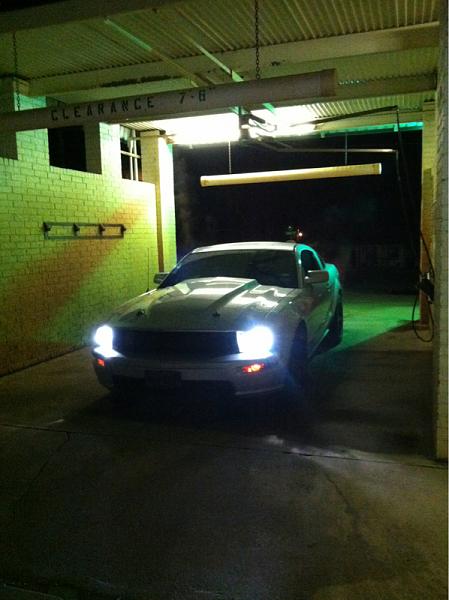 What did you do with your Mustang today?*-image-1181714314.jpg